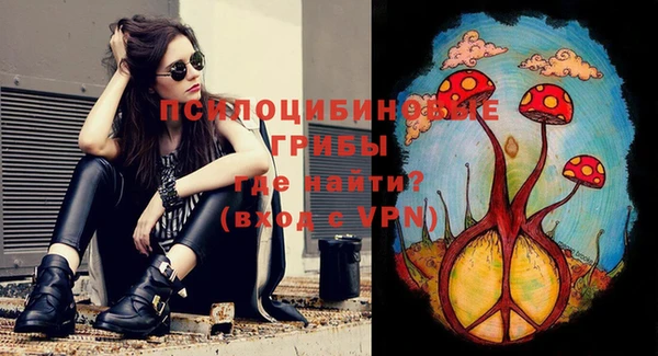 МДПВ Сясьстрой