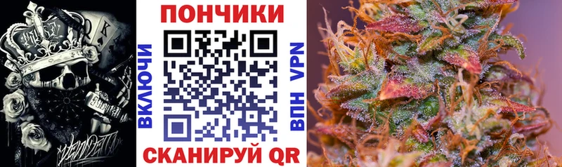 Купить где  Сургут  Бошки марихуана конопля 